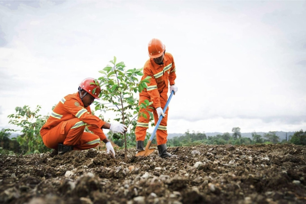Weda Bay Nickel Reklamasi 84,86 Hektare Lahan Bekas Tambang di ...
