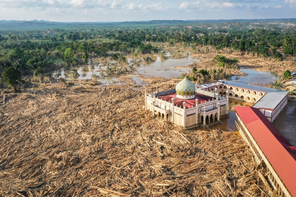 Bareskrim Ungkap 3 Jenis Kayu Gelondongan saat Banjir Sumatra