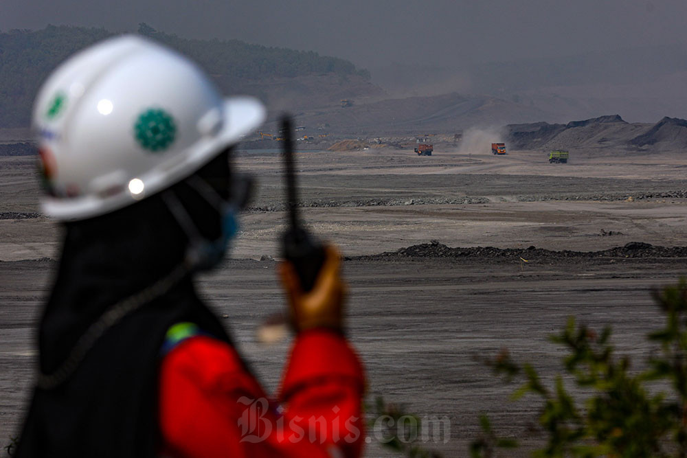 Ini Alasan Bukit Asam (PTBA) Belum Prioritaskan Aksi Buyback Saham Saat Ini