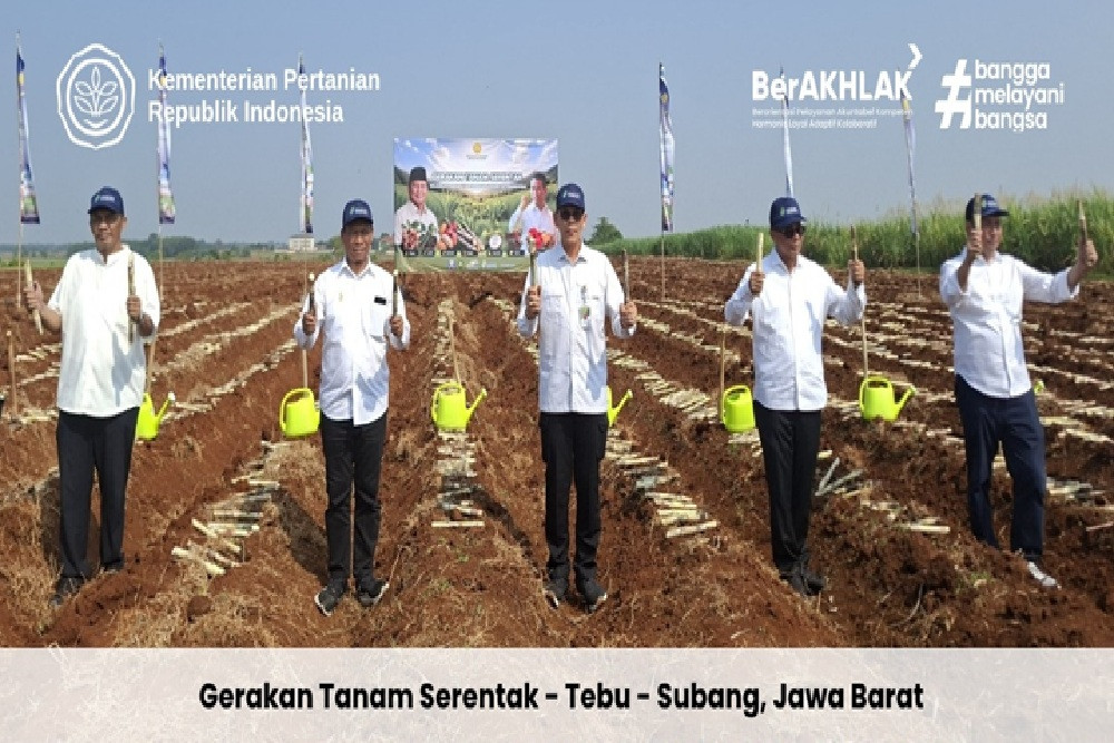 Tanam Komoditas Perkebunan Serentak di 12 Provinsi, Kementan Dorong Percepatan Swasembada Pangan