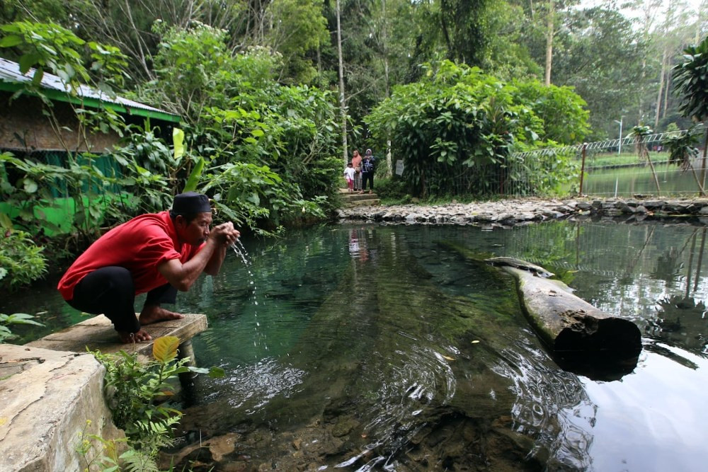 Pulihkan DAS, KLH Siapkan Penanaman 2 Miliar Pohon di Lahan Kritis