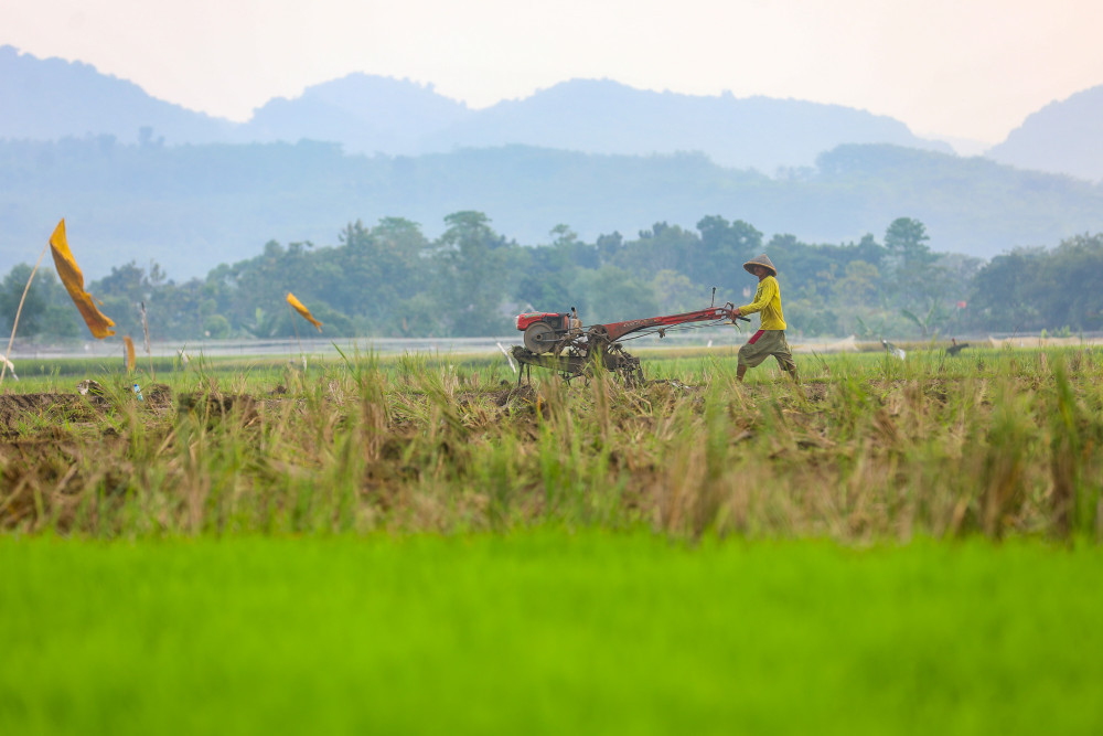 Wujudkan Ketahanan Pangan, Dharmasraya Optimalkan Penggarapan Lahan Sawah