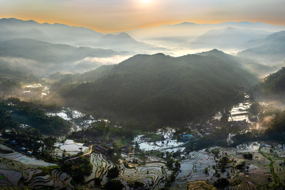 Tak Hanya Biodiversitas, Indonesia Berisiko Kehilangan Pengetahuan tentang Alam