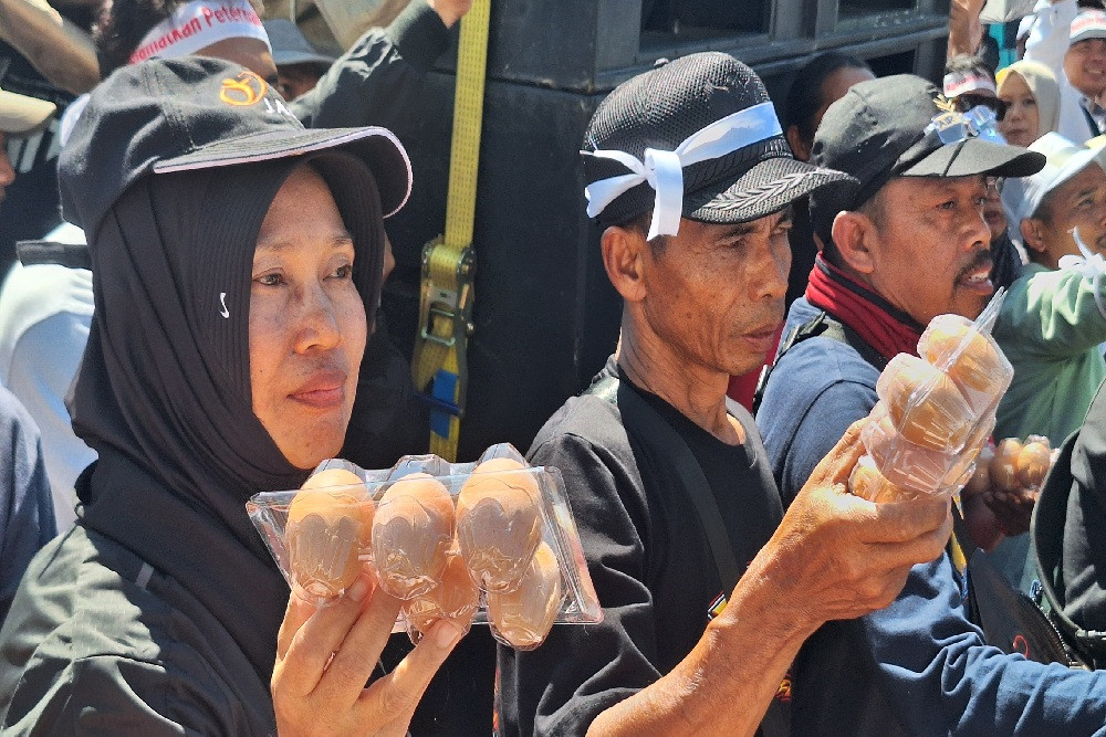 Redam Gejolak Harga Jual dan Oversuplai Telur, DPRD Jatim Sodorkan 5 Langkah Strategis