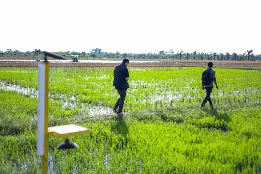 Aset Badan Bank Tanah Naik 16% pada 2025, Tembus Rp3,37 Triliun