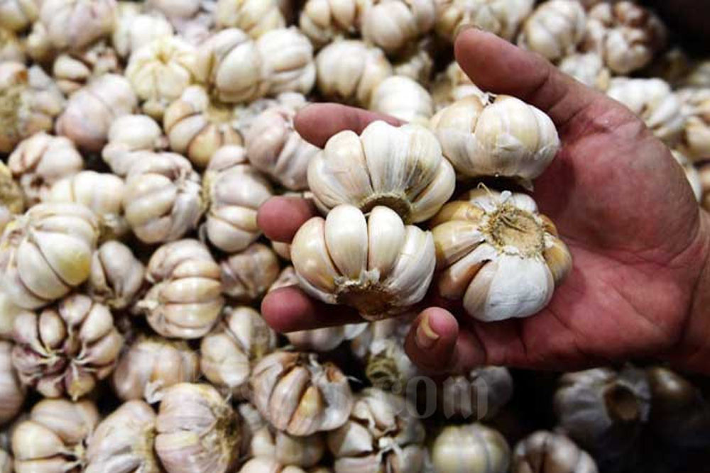 Pelemahan Rupiah Pengaruhi Inflasi Juni 2026, Efek Harga Bawang Putih Impor Naik
