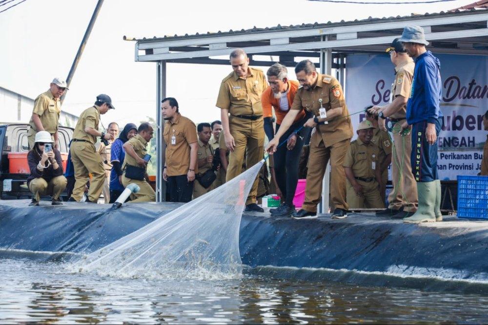 Gunakan Sistem Tertutup, Balai Perikanan Jateng Panen Udang Vaname di Kawasan Industri