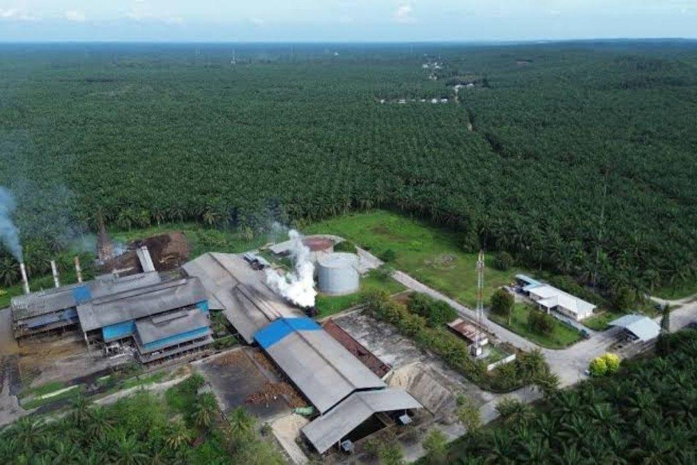 Agrinas Palma Bukukan Surplus Operasional Rp2,86 Triliun, Kelola 4,11 Juta Hektare Aset Negara