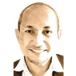 M. Luthfi Hamidi