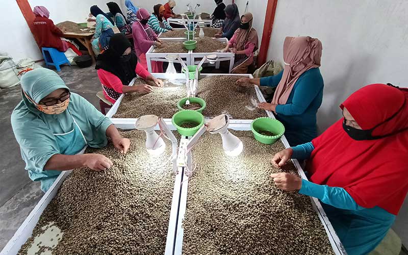 Potret Eksistensi Petani Kopi Arabika Gayo Aceh di Tengah Pandemi