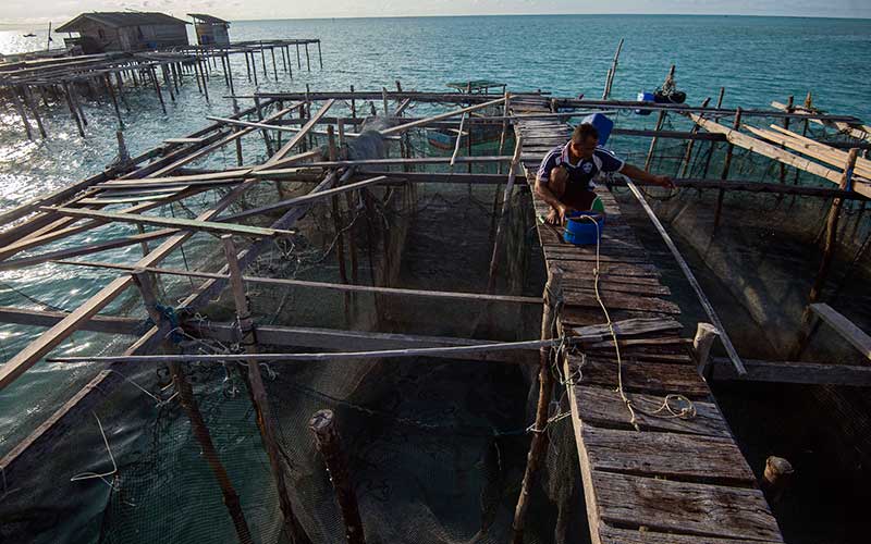 Foto-Foto Mutiara di Ujung Natuna