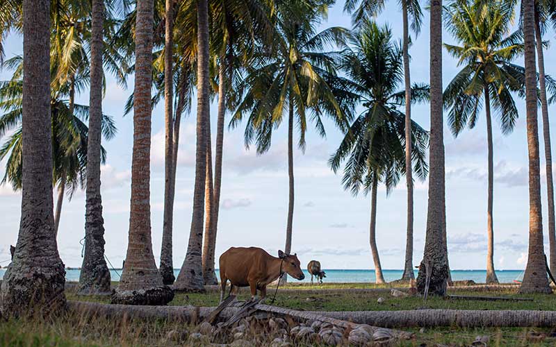 Foto-Foto Mutiara di Ujung Natuna