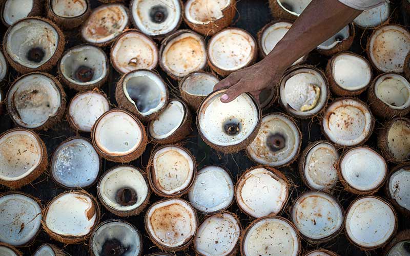 Foto-Foto Mutiara di Ujung Natuna