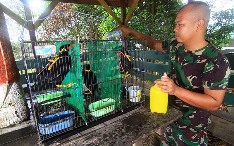 Foto-Foto Rutinitas Para Penjaga Perbatasan Indonesia-Malaysia di Jantung Borneo