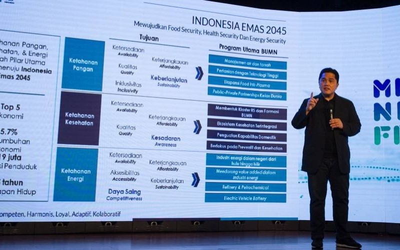 PREMIUM NOTES : Setumpuk PR Erick Thohir, Soal Aksi Lo Kheng Hong, Kasus Sengketa Jackson Widjaja, dan Rencana IPO Tokopedia