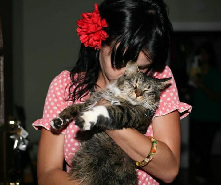 Katty Perry Kehilangan Kucing Kesayangannya