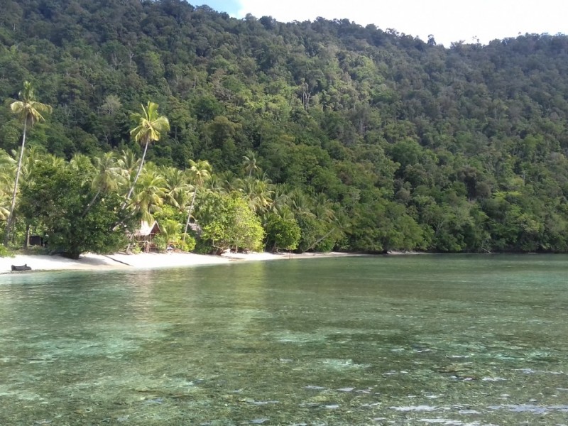 Liburan ke Sauwandarek, Surga Kecil di Raja Ampat