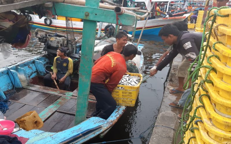 Hiruk Pikuk Bongkar Muat Ikan di Muara Angke Jakarta Utara