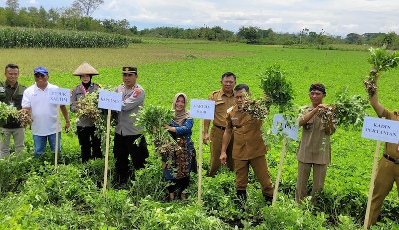 PT Pupuk Kalimantan Timur (Pupuk Kaltim) gelar sosialisasi program Agrosolution dan pelatihan pembuatan kompos menggunakan produk hayati Biodex, bagi para petani Desa Bringinan Kabupaten Ponorogo Jawa Timur, Senin (3/10/2022)./JIBI-Istimewa