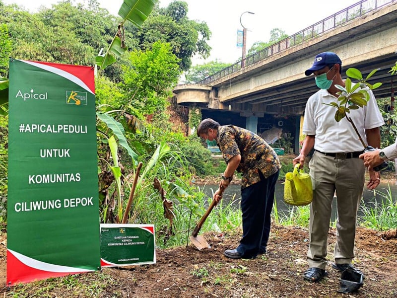 Lestarikan Bumi Di Tengah Pandemi, Apical Group Sinergi Dengan Masyarakat Ciliwung