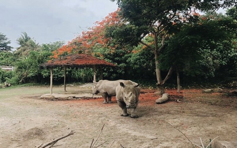 Lebih Dekat dengan Satwa Dunia dari Pulau Dewata