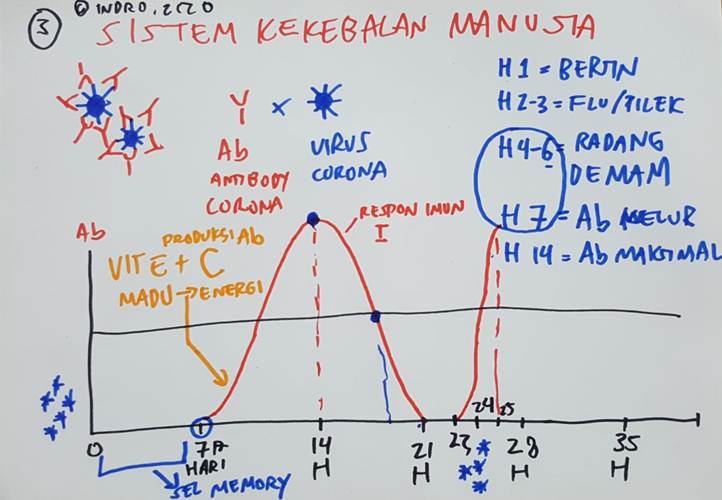 Daripada Panik, Pahami Informasi  Tentang Virus Corona Ini