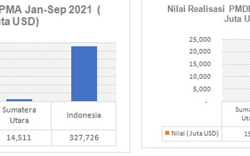 Pacu Ekonomi Berkelanjutan, KEK Sei Mangkei Hadapi Sejumlah Masalah