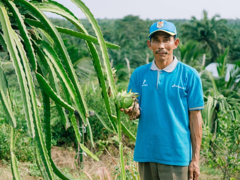 PEP Lirik Dukung Petani di Masa Pandemi, Jadi Tujuan Agrowisata