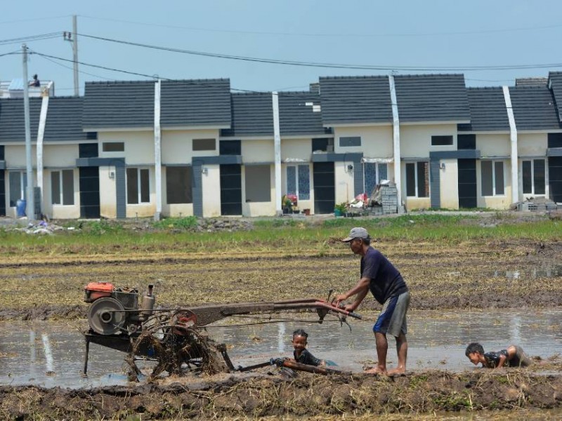 Pandemi Covid-19, Cetak Sawah Dinilai Tak Jamin Keamanan Pangan