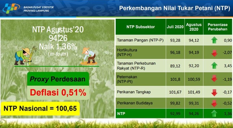 Agustus 2020, Nilai Tukar Petani di Lampung Naik 1,36 Persen