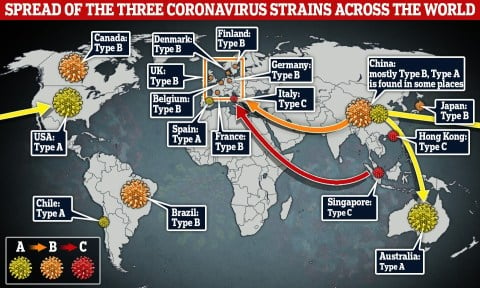 Penelitian Terbaru Ungkap Virus Corona Mulai Menyebar September 2019, Bukan di China?