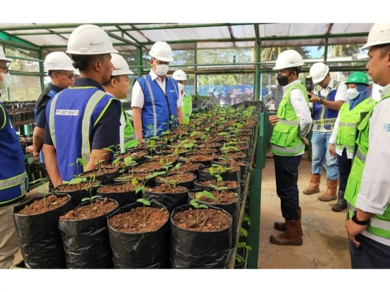 Jaga Lingkungan, Bukit Asam Bangun Botanical Garden di Lahan Bekas Tambang