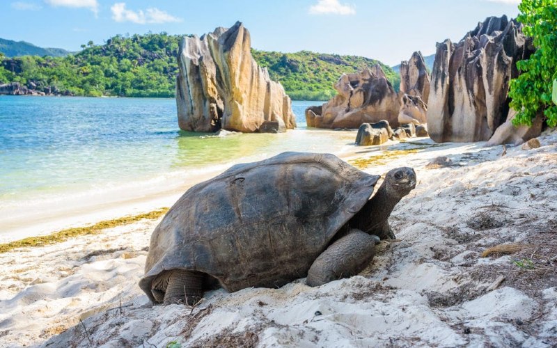 6 Pulau Tersembunyi Paling Menakjubkan di Dunia