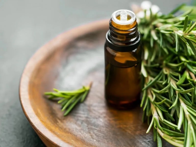 Rosemary untuk obat jerawat