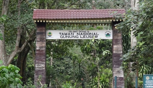 Taman Nasional Gunung Leuser