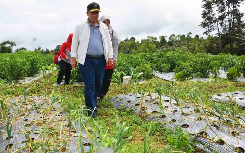 Menanti Jalan Baru di Sumbar, Jalur Pendongkrak Ekonomi Masyarakat