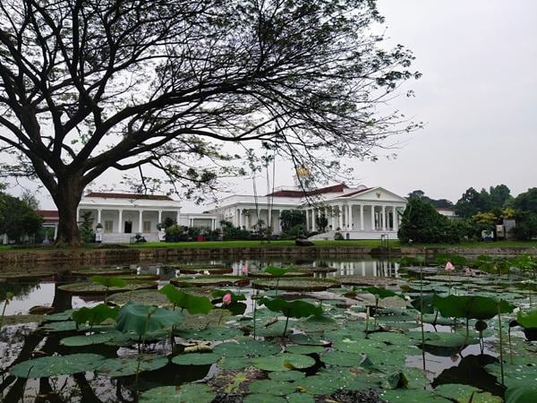 Bertamasya Sekaligus Belajar Sejarah di Kebun Raya Bogor