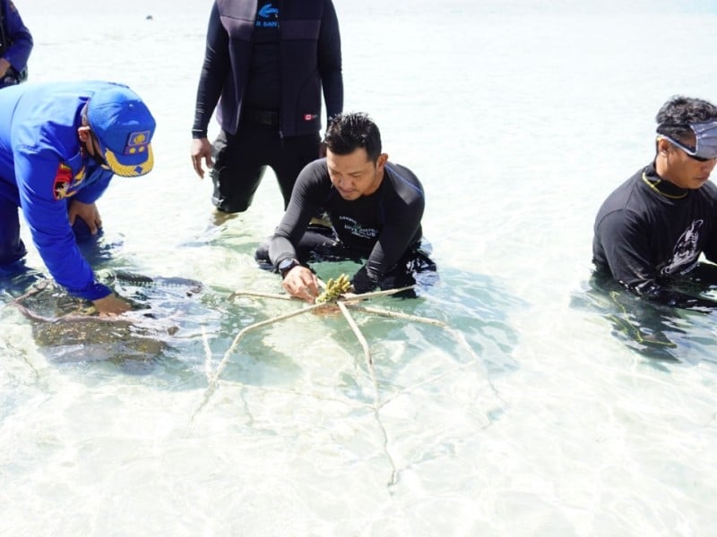 Sambut HUT Ke-75 RI, Bandara Lombok Rehabilitasi Ekosistem Terumbu Karang