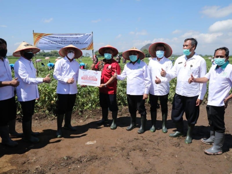 MenkopUKM Fokus Menyiapkan Koperasi Percontohan di Sektor Pangan