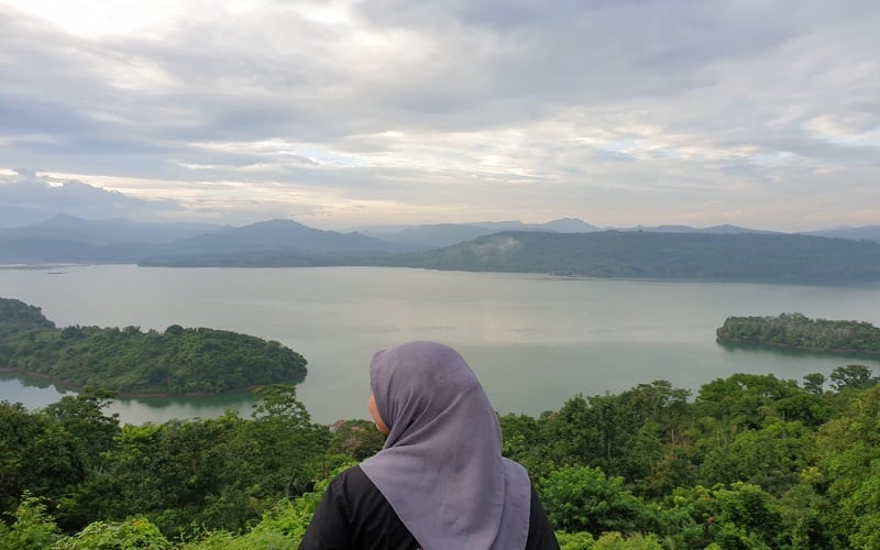 Menyambangi Bukit Bollangi Sulsel: Pesona Matahari Terbit dan Daya Tarik Rumah Hobbit