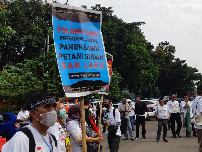 Foto-Foto Demo Petani Sawit di Depan Kantor Kemenko Perekonomian