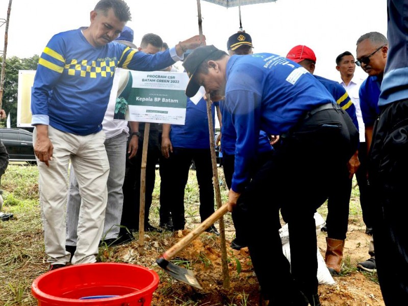 Hijaukan Kota Batam, BP Batam Mulai Gelar Penanaman 12.000 Pohon Jati Emas