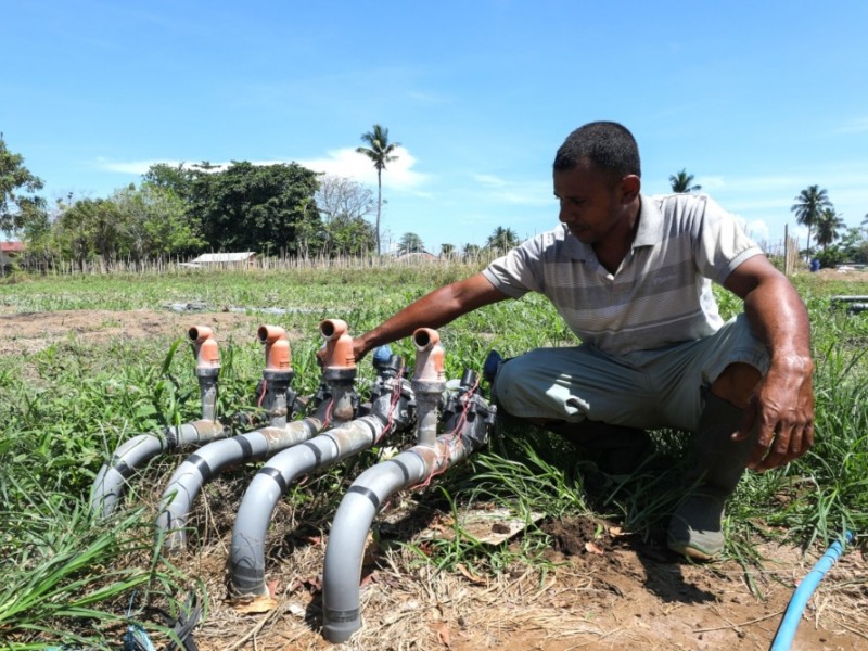 Smart Farming