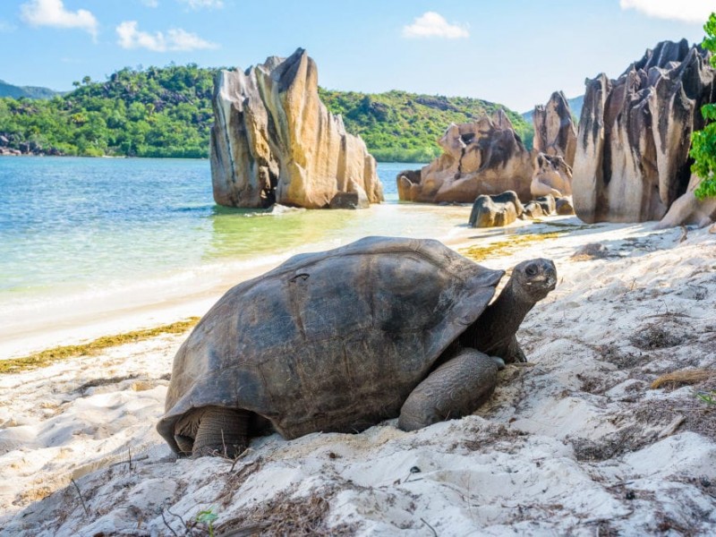 6 Pulau Tersembunyi yang Paling Menakjubkan di Dunia