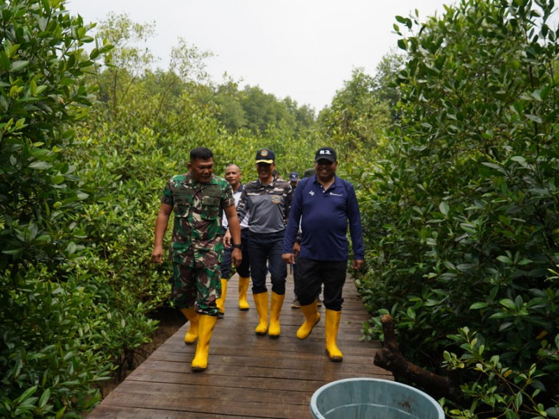 PTBA Tanam 50.000 Bibit Mangrove di Kawasan Ekowisata Cuku Nyi Nyi