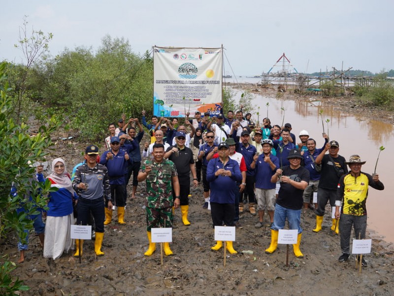 PTBA Tanam 50.000 Bibit Mangrove di Kawasan Ekowisata Cuku Nyi Nyi