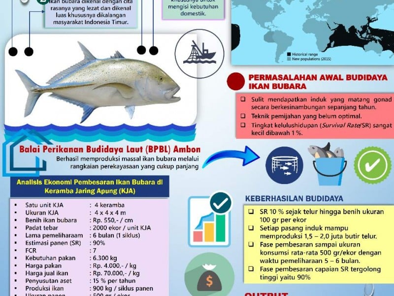 BPBL Ambon Siap Diseminasi Inovasi Budidaya Ikan Unggulan