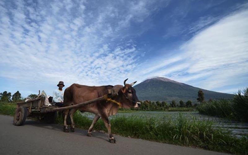 10 Gunung Berapi Berstatus Waspada dan 3 Siaga, Ini Rinciannya!