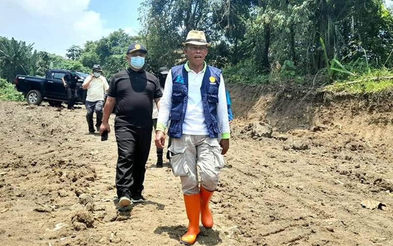 Subang Kembangkan Perkebunan Manggis 1.165 Hektare