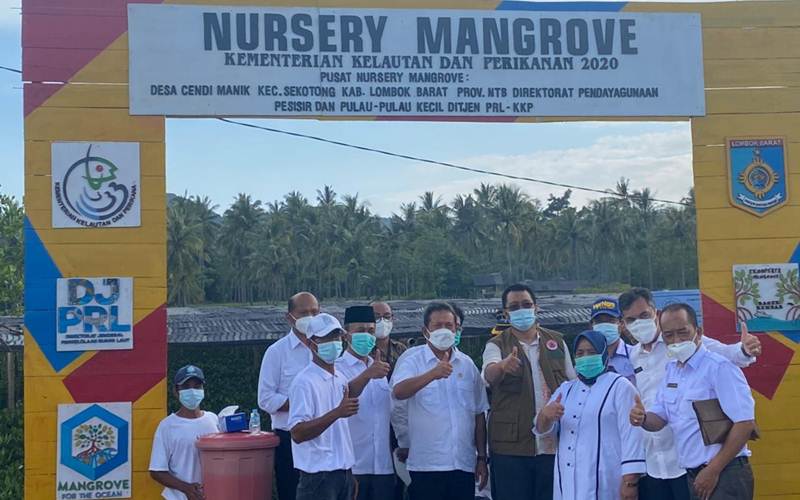 NTB Ditarget Rehabilitasi 56 Hektare Mangrove dalam 2 Bulan